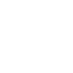 ce logo Driggs